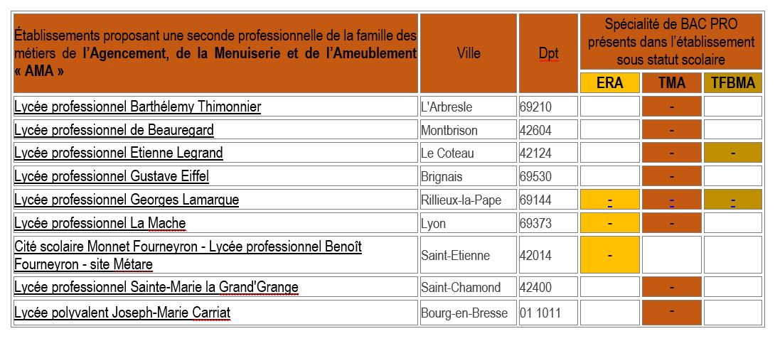 Lycée professionnel Barthélemy Thimonnier   Lycée professionnel de Beauregard   Lycée professionnel Etienne Legrand   Lycée professionnel Gustave Eiffel   Lycée professionnel Georges Lamarque   Lycée professionnel La Mache   Cité scolaire Monnet Fourneyron - Lycée professionnel Benoît Fourneyron - site Métare   Lycée professionnel Sainte-Marie la Grand'Grange   Lycée polyvalent Joseph-Marie Carriat 